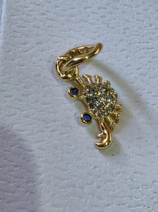 Pandora Charm  Océano