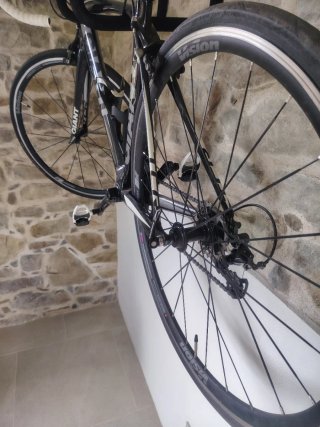 Giant TCR Advanced