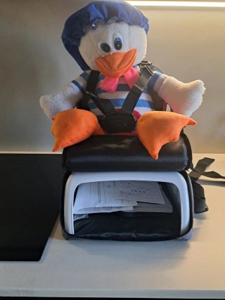 Trona portátil para bebé con diseño de pájaros