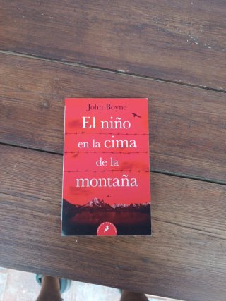 El niño en la cima de la montaña / The Boy at t...