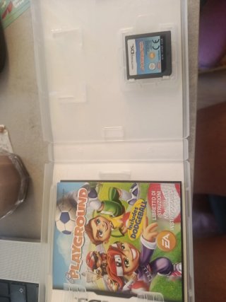 Juego Nintendo DS Playground