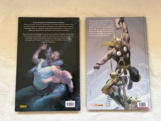 Namor y Loki de Esad Ribic Marvel Graphic Novel