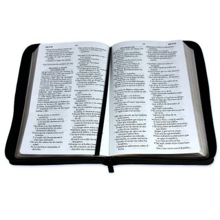 Biblia RVR 1960 Letra Grande Tamaño Manual Sími...