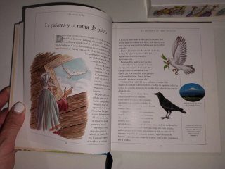 La Biblia ilustrada para niños