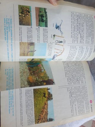 Cosmos 3 EGB libro naturaleza y sociales