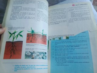 Cosmos 3 EGB libro naturaleza y sociales