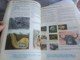 Cosmos 3 EGB libro naturaleza y sociales