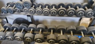 Mancuernas de gimnasio (varios pesos)