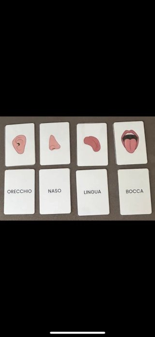 Carte Montessori Parti del Corpo Nuove Artigianali