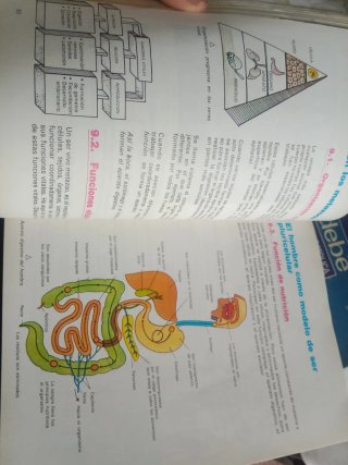 Ciencias naturales 6 EGB piragua