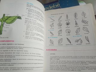 Ciencias naturales 6 EGB piragua