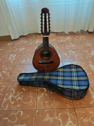 Bandurria con funda a cuadros
