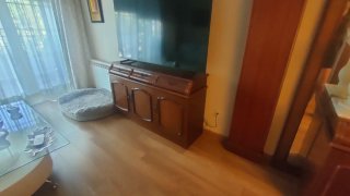 Mesa salon,sillas,mueble TV, madera rustica.