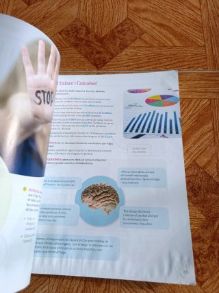 CONEIXEMENT DEL MEDI 6 PRIMARIA CONSTRUINT MONS
