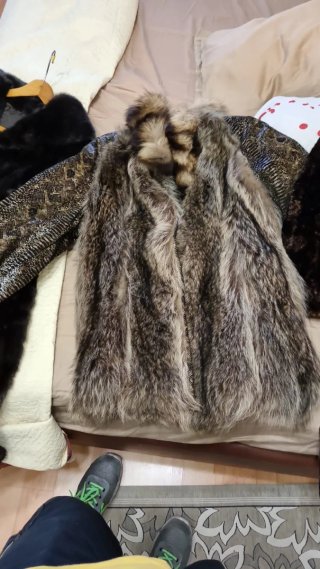 Pelliccia marmotta