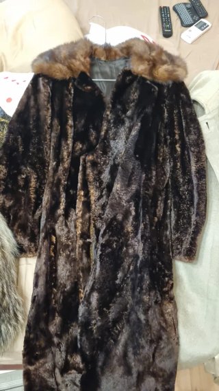 Pelliccia Castoro