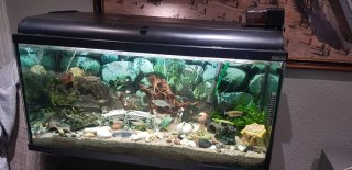 Acuario Grande Negro y Transparente