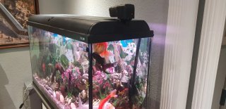 Acuario Grande Negro y Transparente