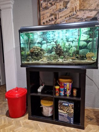 Acuario Grande Negro y Transparente