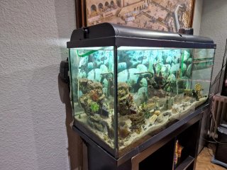 Acuario Grande Negro y Transparente