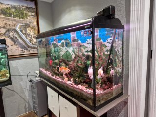 Acuario Grande Negro y Transparente