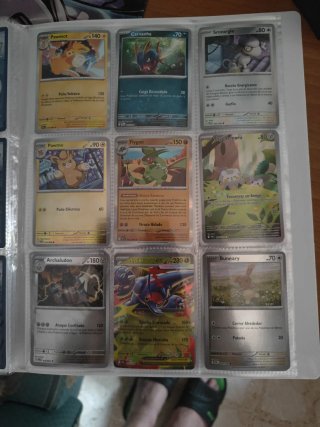 Colección cartas pokemon