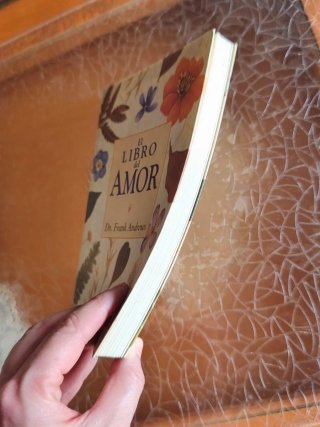 El libro del amor