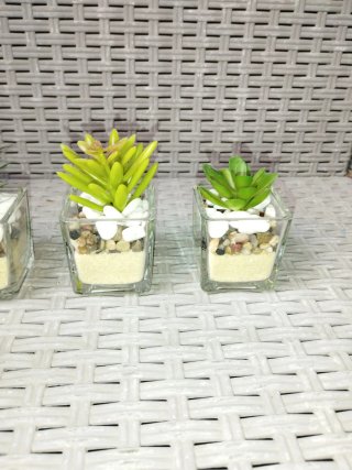 4 Piantine Artificiali in Vaso Vetro