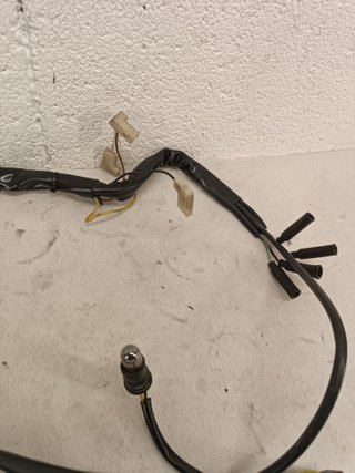 Monster S4R S2R 1000 900 800 750 695 620 cableado