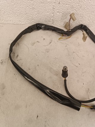 Monster S4R S2R 1000 900 800 750 695 620 cableado
