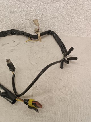 Monster S4R S2R 1000 900 800 750 695 620 cableado