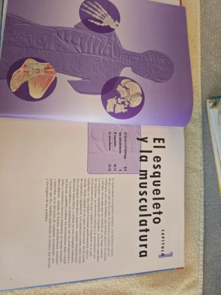 Libro del cuerpi humano órganos sistemas,funciones