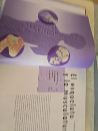 Libro del cuerpi humano órganos sistemas,funciones