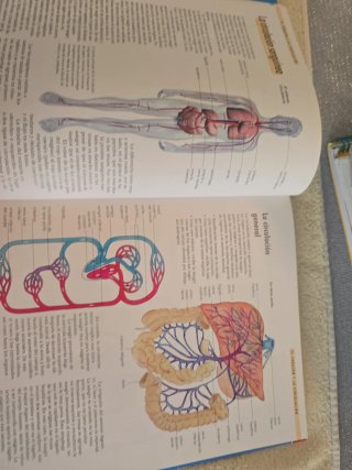 Libro del cuerpi humano órganos sistemas,funciones