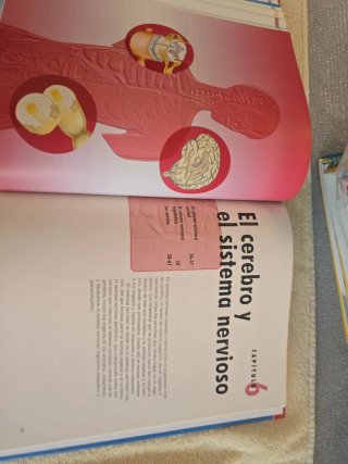 Libro del cuerpi humano órganos sistemas,funciones