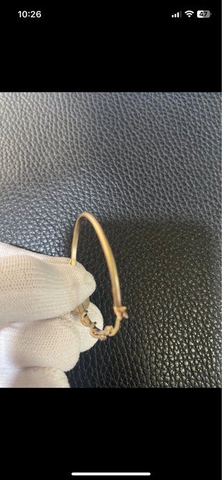 Pendientes aro Alexander McQueen oro y rubí