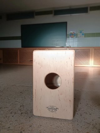 Pepote Jaleo profesional