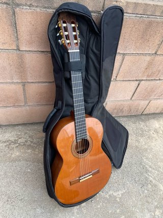 Guitarra Manuel Raimundo con funda