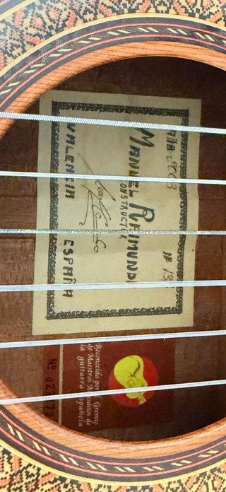 Guitarra Manuel Raimundo con funda