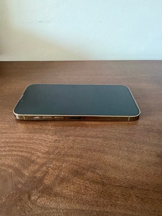 iPhone 13 Pro Max 256GB Oro + Funda