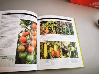 Cultivo de hortalizas