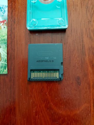 Nintendo DS Nintendogs Labrador & Friends