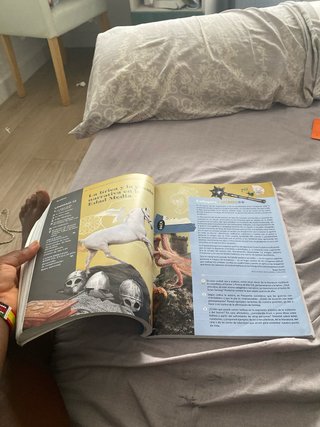 Lengua castellana y literatura I. Libro del est...