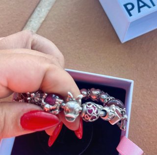 Pulsera Pandora Original con 17 Charms