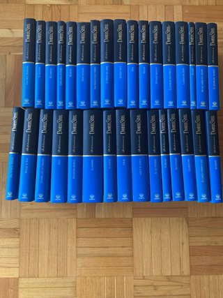 Lote de 32 libros de Danielle Steel