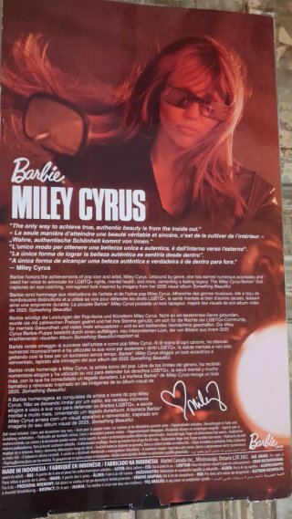 Barbie Miley Cyrus Cuerpo, Ropa y Accesorios