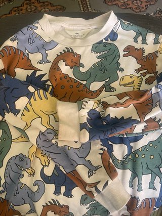 Sudadera H&M dinosaurios infantil
