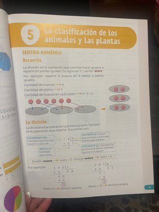 Revuelta cuarto de primaria matematicaa