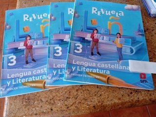 Libros de lengua de Sm de tercero de primaria