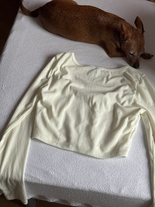 Top blanco manga larga
